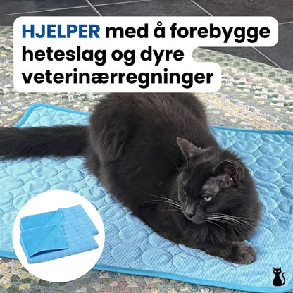 Beskytt katten din mot heteslag med Lorvea™ Kjølematte