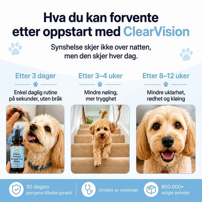 Hjelp dem å fortsette å se livet de elsker