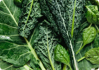Lutein
