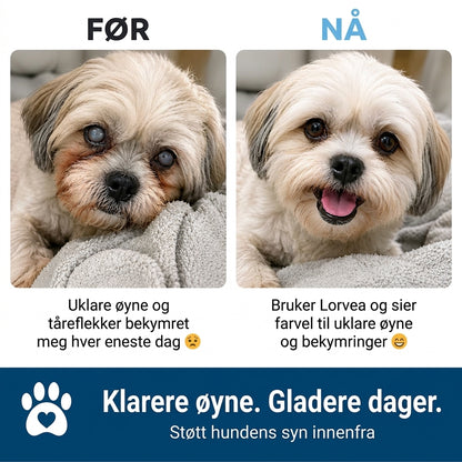 Hjelp dem å fortsette å se livet de elsker