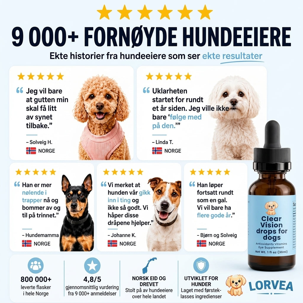 Hjelp dem å fortsette å se livet de elsker