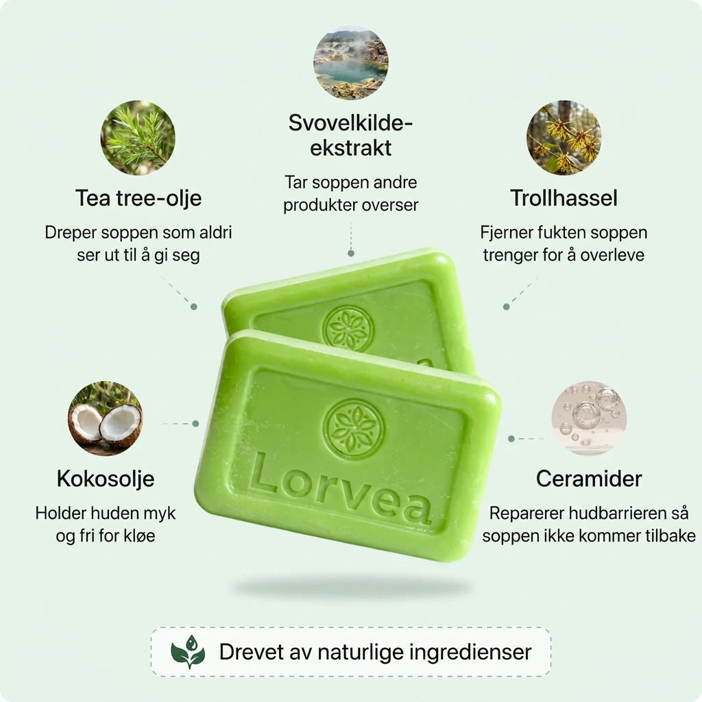 Lorvea Soppdempende Såpe