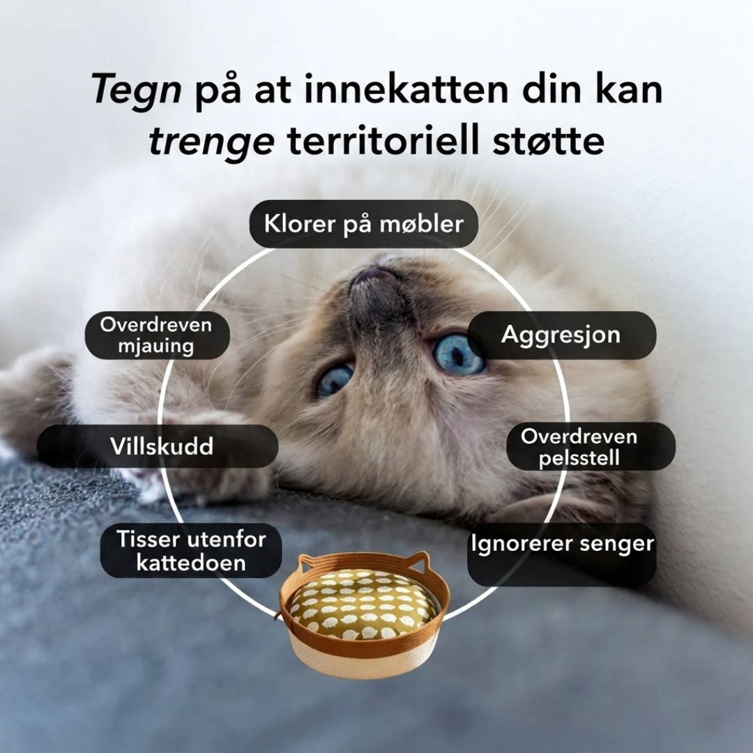 Instinktsengen | Møt det første forskningsbaserte naturlige reviret for innekatter