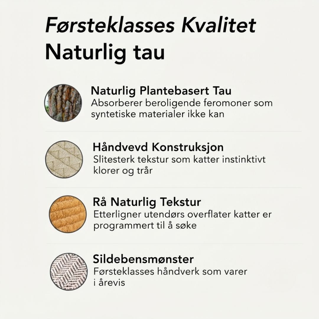 Instinktsengen | Møt det første forskningsbaserte naturlige reviret for innekatter