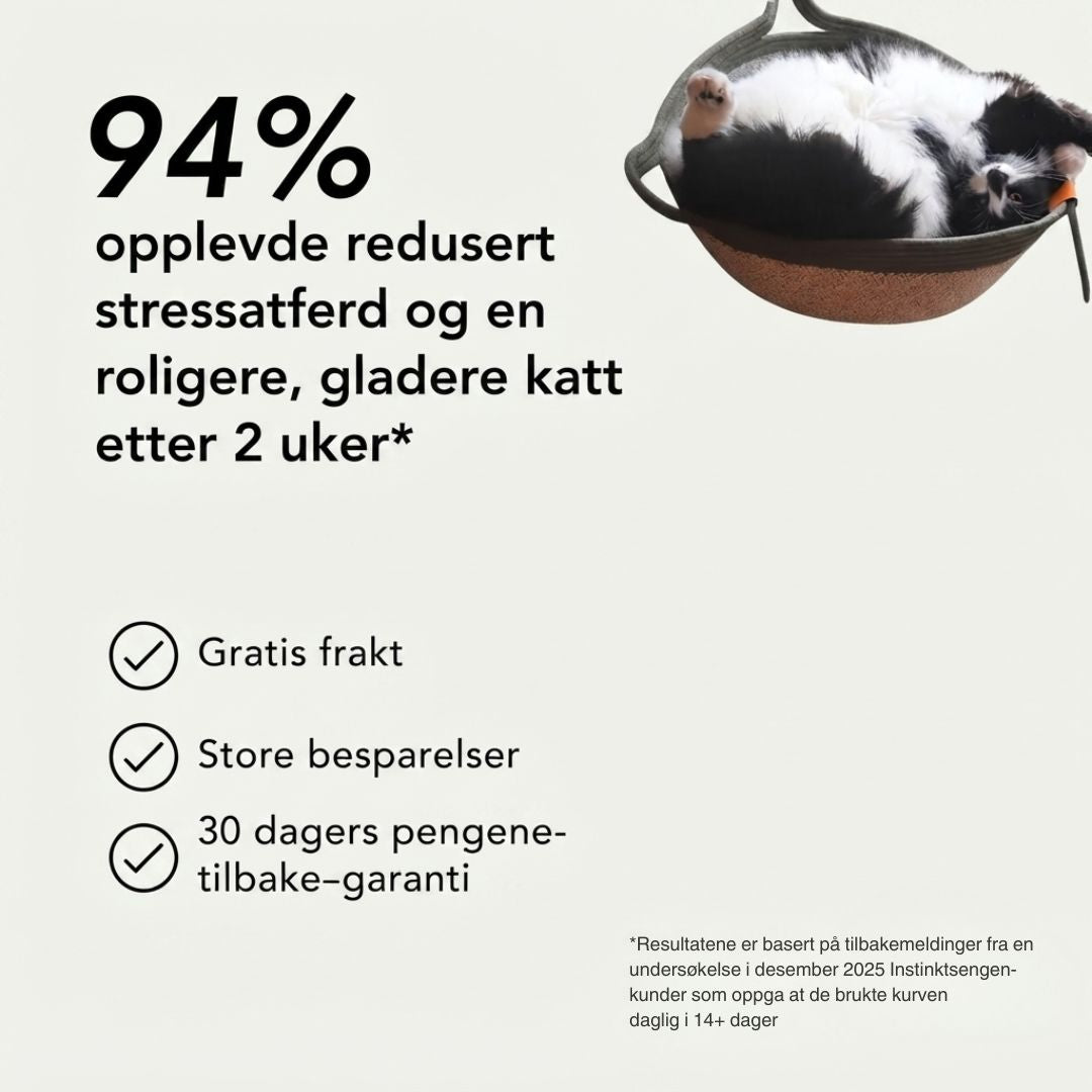 Instinktsengen | Møt det første forskningsbaserte naturlige reviret for innekatter