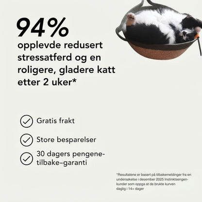 Instinktsengen | Møt det første forskningsbaserte naturlige reviret for innekatter